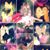 Jazzy FBaby's profile image