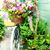 Sue Gaillard Scott's profile image