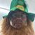Jerry Watkins's profile image