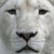 Bill Johnson's profile image