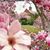 Terri Inman's profile image