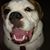Duane Carlson's profile image