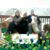 Carol Urbanowski's profile image