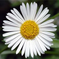 Jaimie Poole's profile image