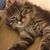 Cheryl Walsberg's profile image