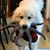 Heather Patterson Marusa's profile image