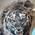 Ernesto Robles's profile image