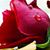 Darlene Bartnick Hasheider's profile image