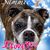 Dusti Kendall's profile image