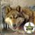 Carl Sherrer's profile image