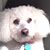 Michele Johnson's profile image