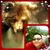 Jr Leonard's profile image