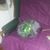 Darrell Lingenfield III's profile image