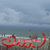 Diane Allen-Franklin's profile image