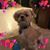 Debbie Mcdaniel's profile image