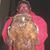 Tony Bridenbaugh Sr.'s profile image