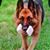 Bonnie Heldman's profile image