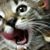 Susan Genchauski Schlieff's profile image