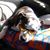 Julie Anne Bond's profile image