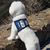 Carol Halowell's profile image