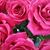 Marla Glasgow's profile image