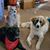 Cheryl Osterhout Brown's profile image