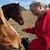 Betty Hester's profile image