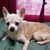 Betty Riston's profile image