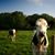 Carol Swigart's profile image