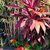 Shelley Eby Kelly's profile image