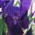 Sheri Horne's profile image