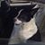 Michael Goldstein's profile image