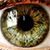 Nena Revo's profile image