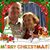 Debbie Loper Murphy's profile image