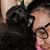 Sharene Ann's profile image