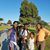 Teresa Akemi Williams's profile image
