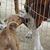 Lisa Langevin's profile image