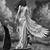Jamie J. Stengel Sonnier's profile image