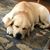 Tracy Kirby's profile image