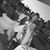 Terry Teresa Fox Hughes's profile image