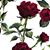 Deidre Neal's profile image