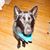 Julie Ryks Lee's profile image