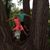 Eric S Hurst's profile image