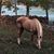 Kimberly Dollinger's profile image