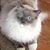Tracy Clark's profile image