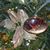 Traci Hale-Johnson's profile image