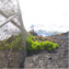 Susan Ruelos's profile image