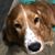 Deb Thomasson Adkins's profile image
