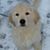 Dona Baker's profile image