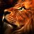 Paula Anderson's profile image
